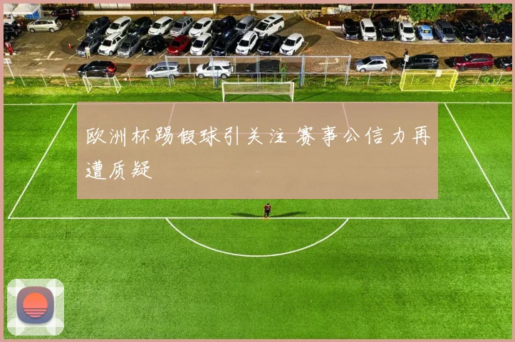欧洲杯踢假球引关注 赛事公信力再遭质疑