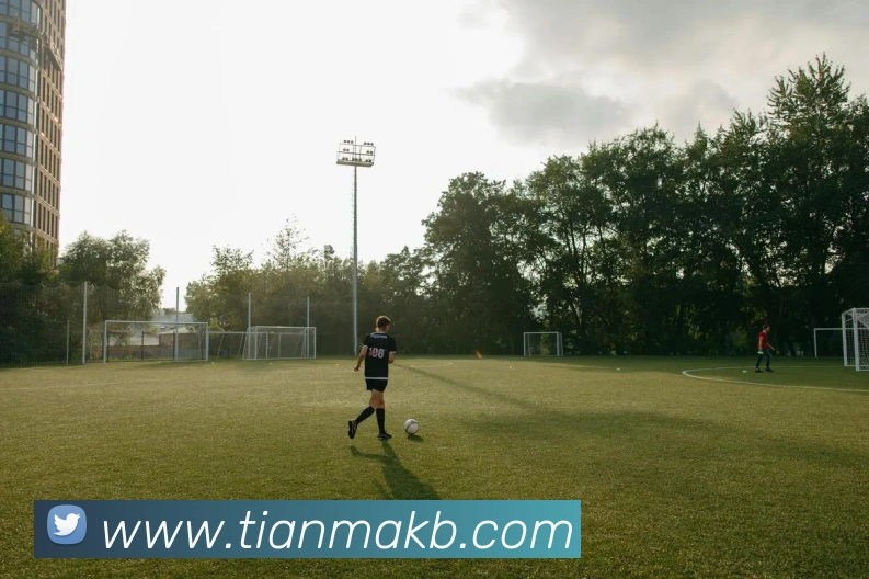 开云kaiyun网页版全站App